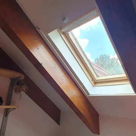 Dei Della Costiera 2