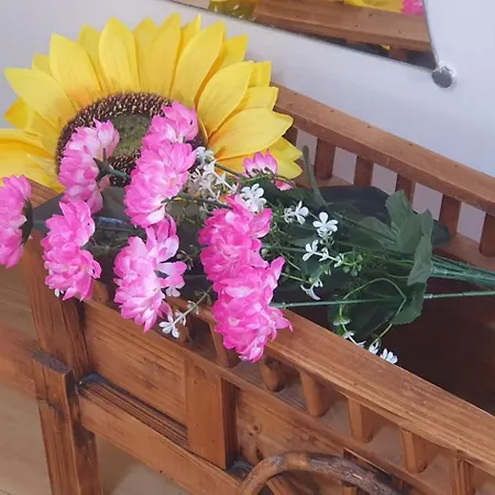 Dei Della Costiera 2 Casa vacanze