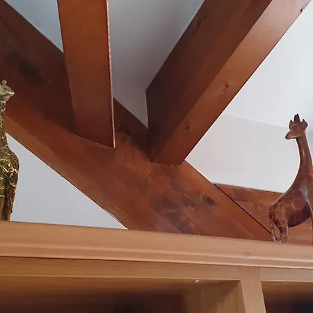 Dei Della Costiera 2 *