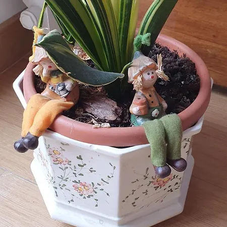 Dei Della Costiera 2 Casa vacanze