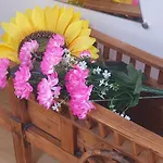 Dei Della Costiera 2 Prázdninový dům