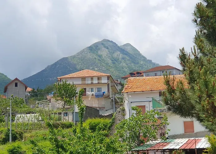 Dei Della Costiera 2